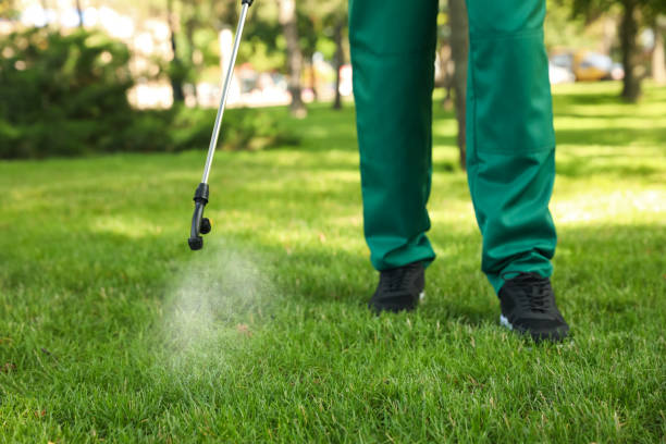 Best Emergency Pest Control  in Sun City Center, FL